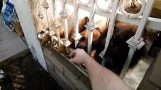 Google Glass Video Test