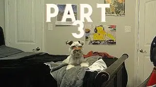 Life-Half Part 3