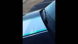 Mustang carbon fiber & matte mint stripes
