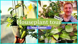 Houseplant Tour 🙌 | Hoya Edition 🌿 | Partie 1 | 25+ Variétés Différentes! 🙈