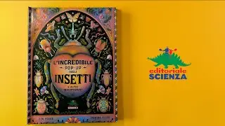 L&rsquo;incredibile pop-up degli insetti e altri invertebrati