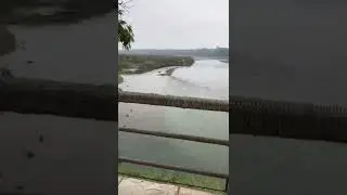 Hotel Jungle Villa,Meghauli