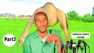ABWAAN AXMED CADAMi
