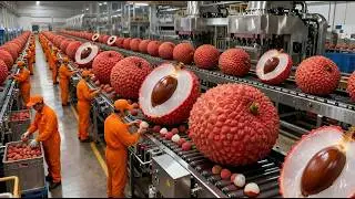 Inside a Modern Lychee Processing Plant: From Fresh Lychees to Canned Syrup and Juice (Full Process)