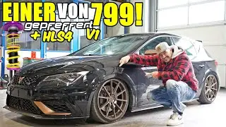 Einer von 799 / Cupra 290 5F mit GEPFEFFERT V1 mit Sturzdomlager & HLS4
