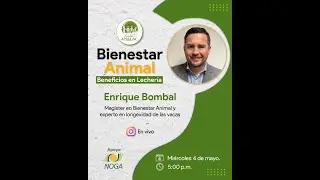 Bienestar animal, sus beneficios en lechería