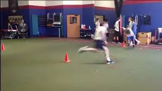 VLOG 2 -  Skill vs Capacity in Speed and Agility