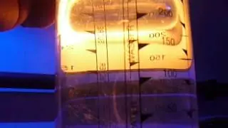 Hatching Acartia tonsa Copepod eggs part 3
