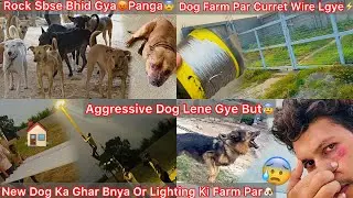 Aggressive Dog Ko Farm Par Lena Gye But😰Gone Wrong😨|| Rock Pure Gang Se Bhid Gya Akela🔥