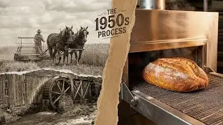 Inside a Massive Bread Factory, From Wheat to Bread, vintage and primitive satisfying process 1950's