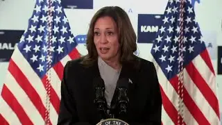 Georgia delegates appear ready to support Kamala Harris as Democratic presidential nominee