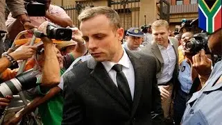 Oscar Pistorius shooting of Reeva Steenkamp: affidavit animated