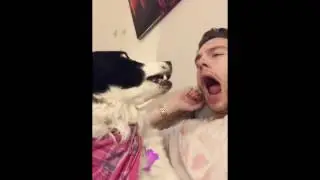 PROOF That Yawns ARE CONTAGIOUS!!!