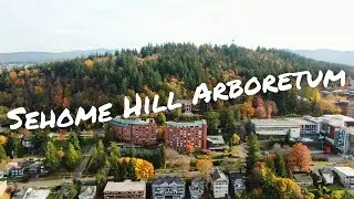 Дендрарий Sehome Hill | Прогулка по лесу в 4K-качестве осенних красок с музыкой на основе искусст...