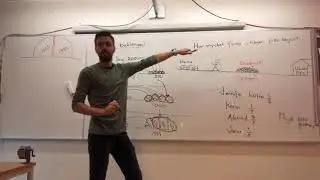 Matematik 1b, 2.1. Bråk. Problemlösningsuppgift.
