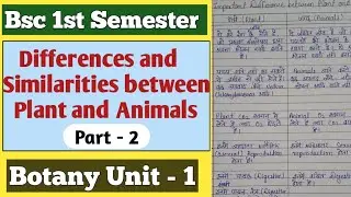 Difference and Similarities Between Plant and Animals in Hindi // Bsc 1st Semester Botany