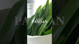 Natural Pandan Extract - Endapan Daun Pandan & Suji Untuk Kue
