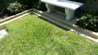 Actress Leslie Brooks Unmarked Grave Forest Lawn Hollywood Hills Los Angeles CA USA June 6, 2024