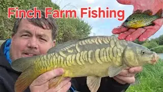 Finch Farm Maidenhead Whip and Method Fishing