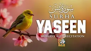 Heart Soothing Recitation of Sura Yaseen ┇ Recited by Ismail An Noure ┇ Noor Pulse Tv 