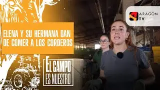 Elena y su hermana dan de comer a los corderos