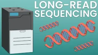 Introducing long-read sequencing for metagenomics