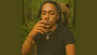 Wood Talk