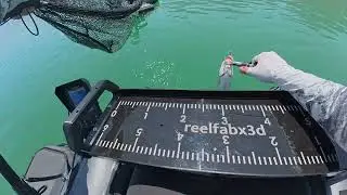 LevKit ( Akbalık ) 🐟 .. 🎣