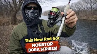 Testing My New Rod on a River FULL of Bora Fish!