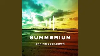 Spring Lockdown