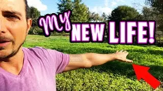 Raw Vegan Birthday | New House Tour | Stimulant Free For Two Years
