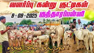 8-08-2025 kundarapalli Friday market Biggest cow market in tamilnadu Krishnagiri district 