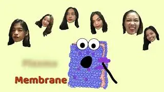 Plasma Membrane Song (Dumb Ways to Die)