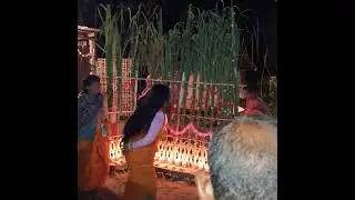 Mwisw gogani gongmwsanai keraipuja (22)23/11/2025)#highlights #bodo culture🙏#bodo bathwo kerai puja 