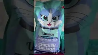 something purr-fect is coming&hellip; 👀🐾CAT FASHION SHOW 2026@kecimeow_market at Where Cats Walk the Style