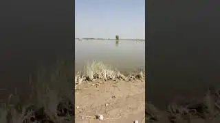 Selaab ky baad || chak no #08 sanghar || bad condition of road || water level down after 2 month