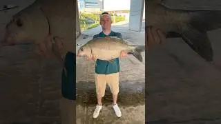 Nice smallmouth buffalo near downtown Houston! #fishing #urbanfishing #smallmouth