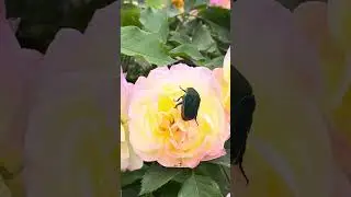 Nature&rsquo;s coexistence 😍