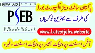 Pakistan Software Export Board (PSEB) Jobs 2020 - Project Officer, Finance Officer, Office Assistant