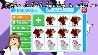 How to hatch legendary in ADOPT ME (someone hack) ||cloxdybunch_ (◕દ◕)