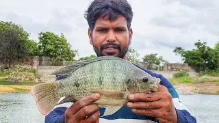 single hook fishing | flute fishing tips | easy fishing tips