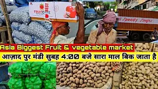 Azadpur Mandi - Asia 's Largest Fruits and Vegetables Wholesale Market |फल और सब्जियों की थोक मंडी।