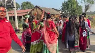 Tharu Wedding Band Baja Dance with Banke Tharu Community, Kohalpur-12, Banke