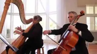 Harp Duo with Cello | Wedding Music | Colorado Musicians | A Music Plus Entertainment