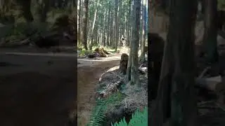 Sick Jumps #jump #mtb #biking #bike #ride #canada #mountain #workout #fitness #big