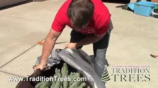 Moving The Christmas Tree Inside
