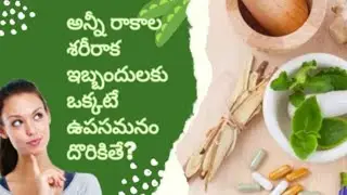 BERRY FUEL || అన్ని రకాల శారీరక ఇబ్బందుల కొరకు || #dailywellness #health #immuintybooster