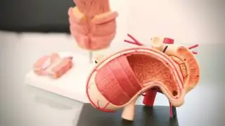Negative Pressure Wound Therapy Journal - Introduction