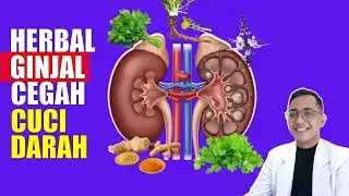 5 Herbal yang Membantu Bersihkan Ginjal, Cegah Cuci Darah dan Batu Ginjal