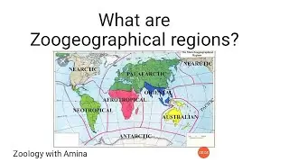 What are zoogeographical regions? | How to draw zoogeographical regions map?
